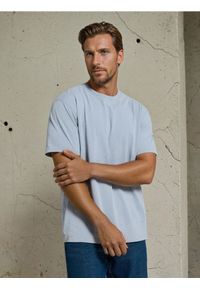 Sinsay - Bawełniana koszulka z efektem sprania - niebieski. Kolor: niebieski. Materiał: bawełna #1