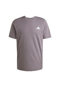 Adidas - Koszulka Mercedes - AMG Petronas Formula One Team Premium Woven Graphic. Kolor: zielony, fioletowy, wielokolorowy. Sport: fitness