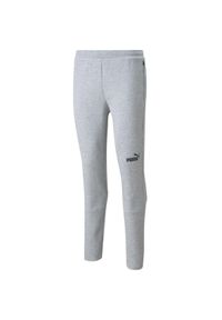 Puma - Męskie Spodnie Do Biegania TeamFINAL. Kolor: szary. Materiał: dresówka