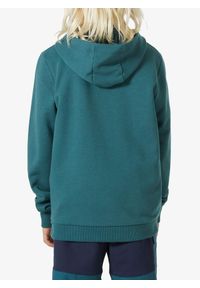 Bluza z kapturem dziecięca Helly Hansen Port Hoodie. Typ kołnierza: kaptur. Kolor: zielony