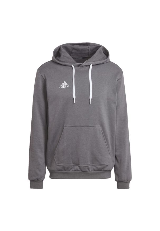 Bluza do piłki nożnej męska Adidas Entrada 22. Typ kołnierza: kaptur. Kolor: szary. Materiał: poliester, bawełna. Sport: piłka nożna