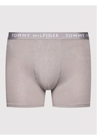 TOMMY HILFIGER - Tommy Hilfiger Komplet 3 par bokserek 3p Boxer Brief UM0UM02204 Kolorowy. Materiał: bawełna. Wzór: kolorowy #6