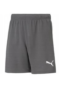 Spodnie treningowe chłopięce Puma Teamrise Short Jr. Kolor: biały, wielokolorowy, szary. Materiał: syntetyk, materiał. Długość: krótkie