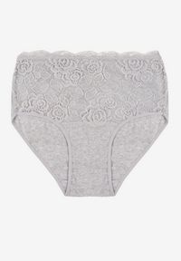 Born2be - Szare Bawełniane Majtki Figi z Koronkowymi Zdobieniami Idissa. Kolekcja: plus size. Kolor: szary. Materiał: koronka, bawełna. Wzór: aplikacja