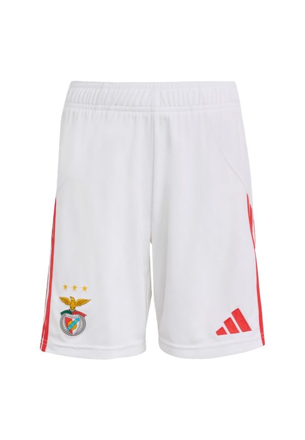 Adidas - Szorty Benfica 25/26 Home Kids. Kolor: biały. Sport: piłka nożna