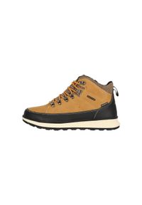 Buty trekkingowe Whistler Clayton. Kolor: żółty. Sport: turystyka piesza