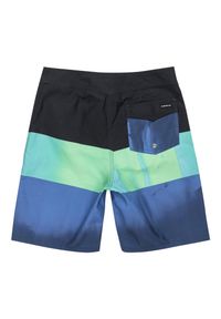 Quiksilver - Szorty kąpielowe dla Chłopcy EVERYDAY PANEL 17" Niebieski. Kolor: niebieski. Materiał: poliester