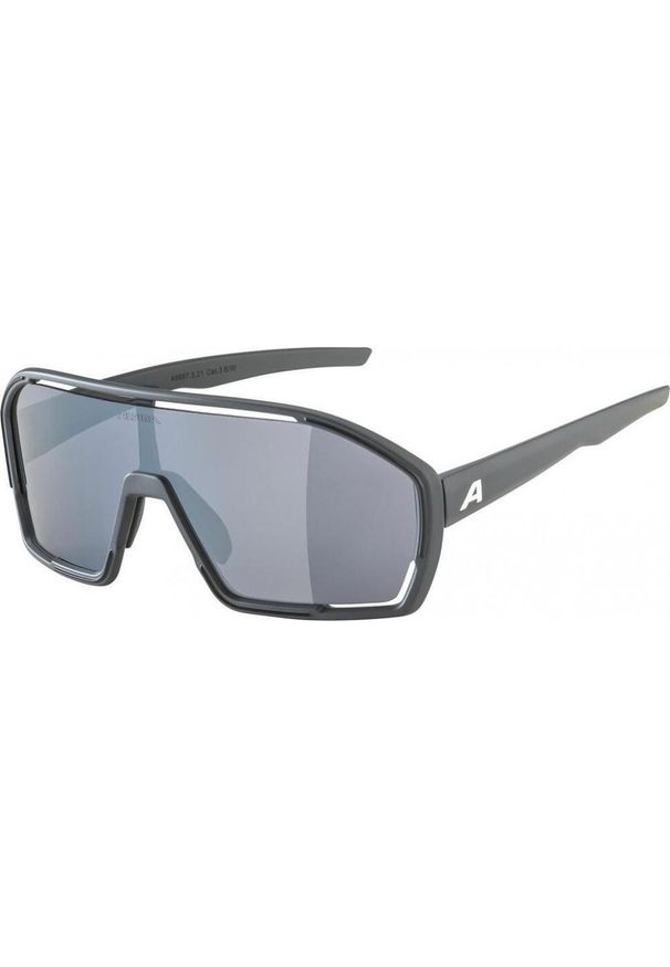 Alpina - Okulary sportowe Bonfire ALPINA FOGSTOP szary. Kolor: czarny