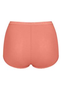 Sloggi Komplet fig Basic 10103326 Kolorowy. Materiał: bawełna. Wzór: kolorowy #8