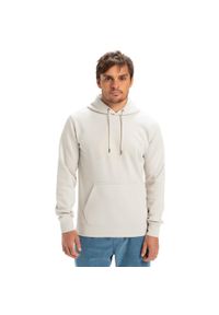 Quiksilver - Bluza z kapturem dla Mężczyzn COMP LOGO Szary. Typ kołnierza: kaptur. Kolor: szary. Materiał: materiał, poliester, bawełna