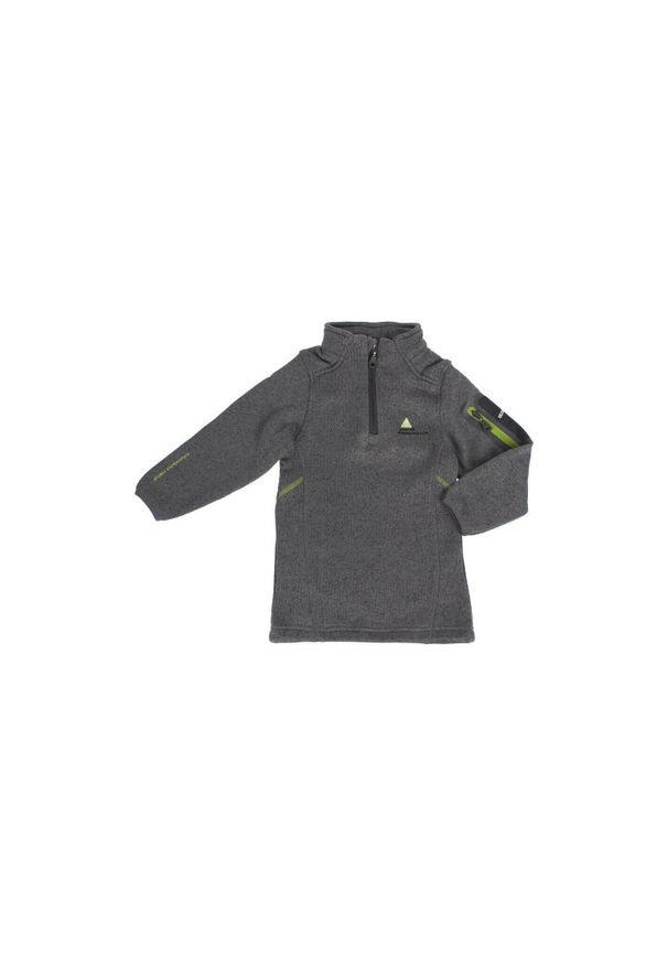 PEAK MOUNTAIN - Kurtka polarowa dla dzieci Peak Mountain Ecypa. Kolor: szary. Materiał: polar. Sezon: zima. Sport: narciarstwo