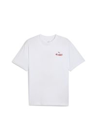 Puma - Męska koszulka z grafiką FC St. Pauli PUMA White Espresso Brown. Kolor: brązowy, biały, wielokolorowy. Wzór: aplikacja, nadruk. Sport: piłka nożna