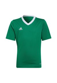 Adidas - Koszulka piłkarska dla dzieci adidas Entrada 22 Jersey. Kolor: wielokolorowy, biały, zielony. Materiał: jersey. Sport: piłka nożna