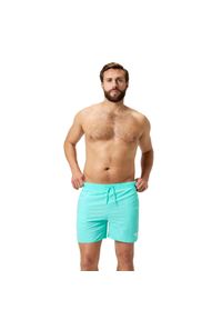 Spodenki szorty męskie kąpielowe Speedo Essentials Watershorts. Kolor: zielony. Materiał: nylon, materiał. Styl: klasyczny