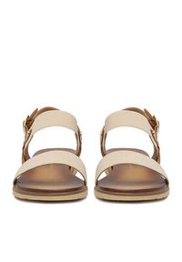 Beverly Hills Polo Club Sandały CEO-WS6262-10 Beżowy. Kolor: beżowy. Materiał: materiał #5