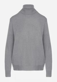 Born2be - Szary Casualowy Golf z Wełną o Prostym Kroju Reiselia. Okazja: na co dzień. Typ kołnierza: golf. Kolor: szary. Materiał: wełna. Styl: casual #4