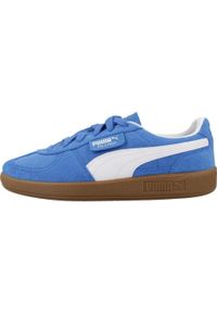 Tenisówki Puma Model Palermo Jr Kolor Niebieski. Kolor: niebieski. Materiał: tkanina. Sport: turystyka piesza