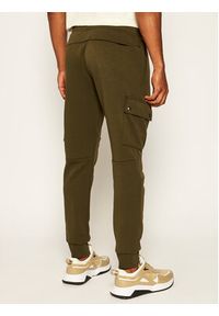 Polo Ralph Lauren Spodnie dresowe Classics 710730495006 Zielony Regular Fit. Kolor: zielony. Materiał: dresówka, bawełna