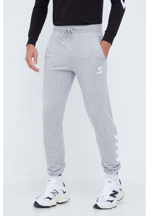 Hummel spodnie dresowe kolor szary z nadrukiem. Kolor: szary. Materiał: dresówka. Wzór: nadruk