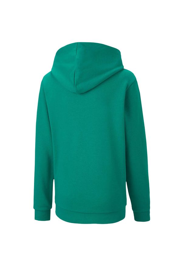 Bluza dla dzieci Puma teamGOAL 23 Casuals Hoody Jr zielona. Kolor: zielony