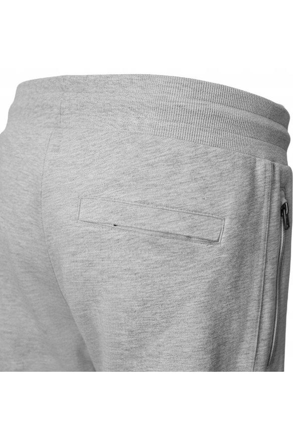 Wygodne i Lekkie Męskie Spodnie Dresowe - Pako Jeans - Popielate. Kolor: szary. Materiał: bawełna, wiskoza. Styl: sportowy
