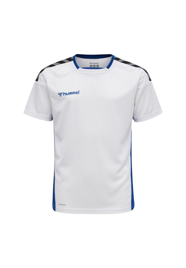 Jersey Hummel enfant hmlAUTHENTIC Poly HML. Kolor: niebieski, wielokolorowy, biały. Materiał: jersey. Sport: piłka nożna