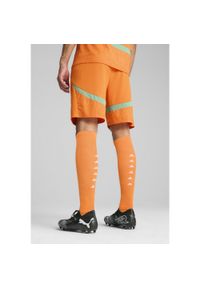 Puma - Męskie szorty Wybrzeże Kości Słoniowej 2025 PUMA Rickie Orange Jade Frost Green. Kolor: żółty, pomarańczowy, wielokolorowy, zielony