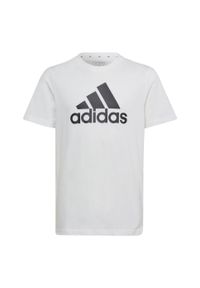 Adidas - Essentials Big Logo Cotton Tee. Kolor: czarny, wielokolorowy, biały