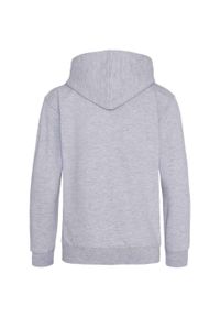 AWDIS - Wrzosowa Bluza Z Kapturem Dla Dzieci. Typ kołnierza: kaptur. Kolor: szary