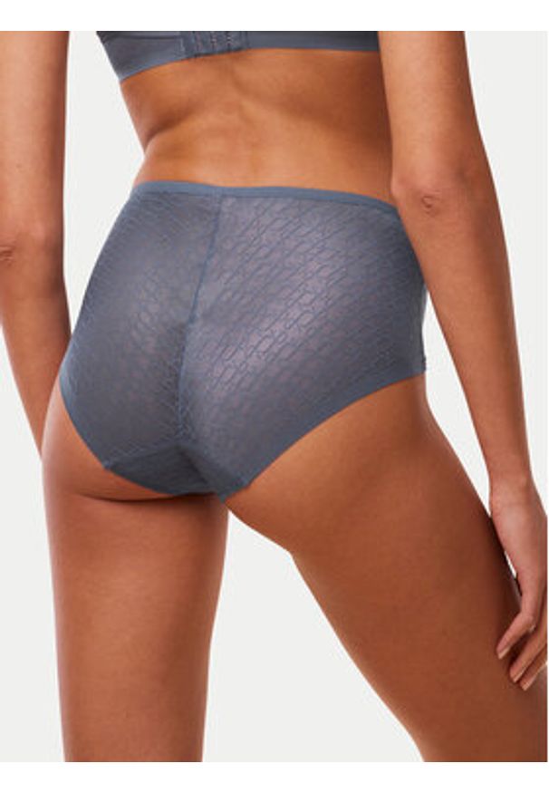 Triumph Figi klasyczne z wysokim stanem Triumph Signature Sheer Maxi EX 10215936 Niebieski. Stan: podwyższony. Kolor: niebieski. Materiał: syntetyk