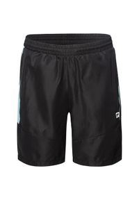IQ - Shorty Męskie Daren. Kolor: czarny, niebieski, zielony, wielokolorowy. Sport: turystyka piesza #1