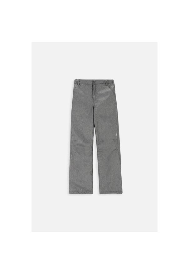 Spodnie zimowe ocieplone outdoor dla dzieci Lemon Explore ZL3 szare. Kolor: szary. Materiał: poliester. Sezon: zima. Sport: outdoor