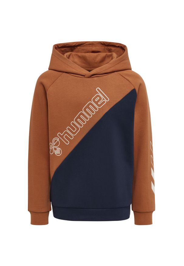 Bluza z kapturem dla dzieci Hummel Axel. Typ kołnierza: kaptur. Kolor: brązowy. Materiał: bawełna