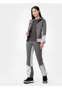 4f - Spodnie skiturowe Primaloft® Active damskie. Kolor: szary. Materiał: tkanina. Technologia: Primaloft. Sezon: zima. Sport: snowboard, narciarstwo #1