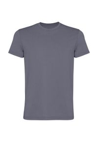 ROLY - Męska Koszulka Corgi Z Krótkim Rękawem. Kolor: szary. Długość rękawa: krótki rękaw. Długość: krótkie. Sport: turystyka piesza #1