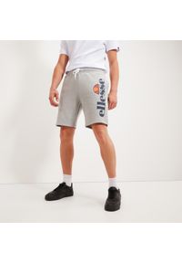Spodenki fitness męskie Ellesse Bossini. Kolor: szary. Długość: krótkie. Sezon: lato. Sport: fitness