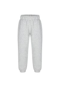 HSN - Dziecięce spodnie treningowe Doxy 152 - Ciepłe i oddychające. Okazja: na uczelnię. Kolor: fioletowy. Materiał: dresówka, bawełna. Styl: sportowy #1