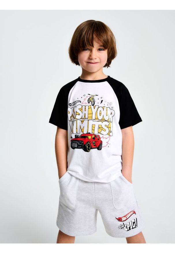 Sinsay - Szorty Hot Wheels - szary. Kolor: szary