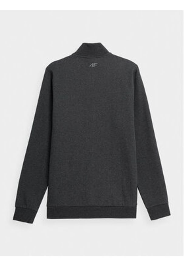 4f - 4F Bluza 4FAW23TSWSM693 Szary Regular Fit. Kolor: szary. Materiał: syntetyk