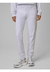 4f - 4F Spodnie dresowe joggery damskie - szare XS. Kolor: szary. Materiał: dresówka. Sport: fitness, turystyka piesza #2