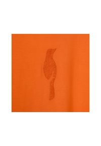 Ochnik - Pomarańczowy T-shirt damski z wilgą. Kolor: pomarańczowy. Materiał: wiskoza #4