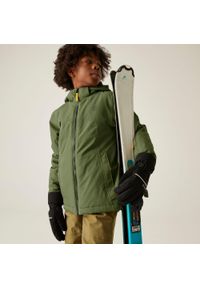 DARE 2B - Kurtka narciarska izolowana Kids Impose Wodoodporna, oddychająca. Kolor: zielony. Sezon: zima. Sport: narciarstwo #1