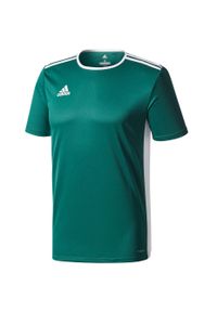 Adidas - Koszulka do piłki nożnej męska adidas Entrada 18 Jersey. Kolor: biały, zielony, wielokolorowy. Materiał: jersey