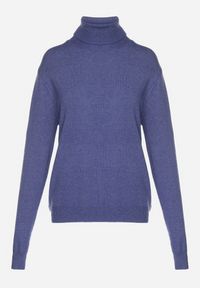 Born2be - Niebieski Klasyczny Golf z Wiskozą i Bawełną Lerella. Okazja: do pracy, na co dzień. Typ kołnierza: golf. Kolekcja: plus size. Kolor: niebieski. Materiał: wiskoza, bawełna. Styl: klasyczny #5