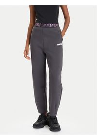 EA7 Emporio Armani Spodnie dresowe 7W000678 AF13151 U8117 Szary Regular Fit. Kolor: szary. Materiał: syntetyk