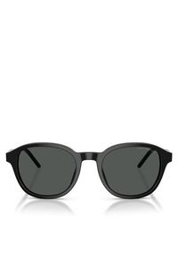 Emporio Armani Okulary przeciwsłoneczne 0EA4247U 501787 Czarny. Kolor: czarny