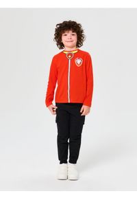 Sinsay - Koszulka z długimi rękawami PAW Patrol - czerwony. Kolor: czerwony. Długość rękawa: długi rękaw. Długość: długie #1