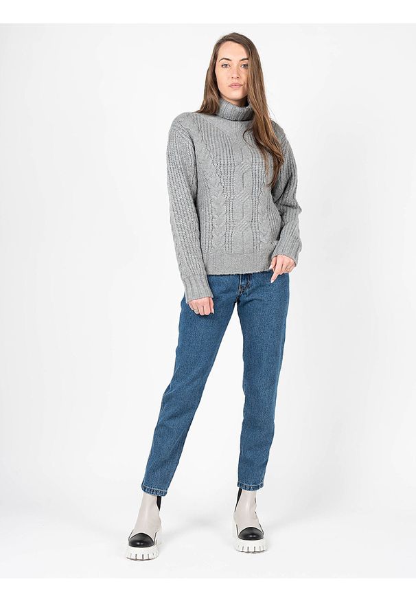 Silvian Heach Sweter | PGA22004MA | Kobieta | Szary. Typ kołnierza: golf. Kolor: szary. Materiał: akryl, poliester, nylon, wełna, elastan. Wzór: aplikacja, ze splotem