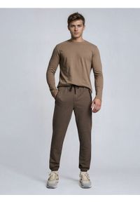 Sinsay - Spodnie dresowe jogger - brązowy. Kolor: brązowy. Materiał: dresówka #1