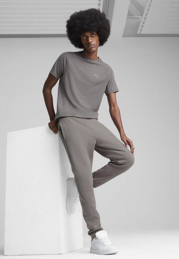 Puma - Męskie spodnie EVOSTRIPE PUMA Cast Iron Gray. Kolor: szary